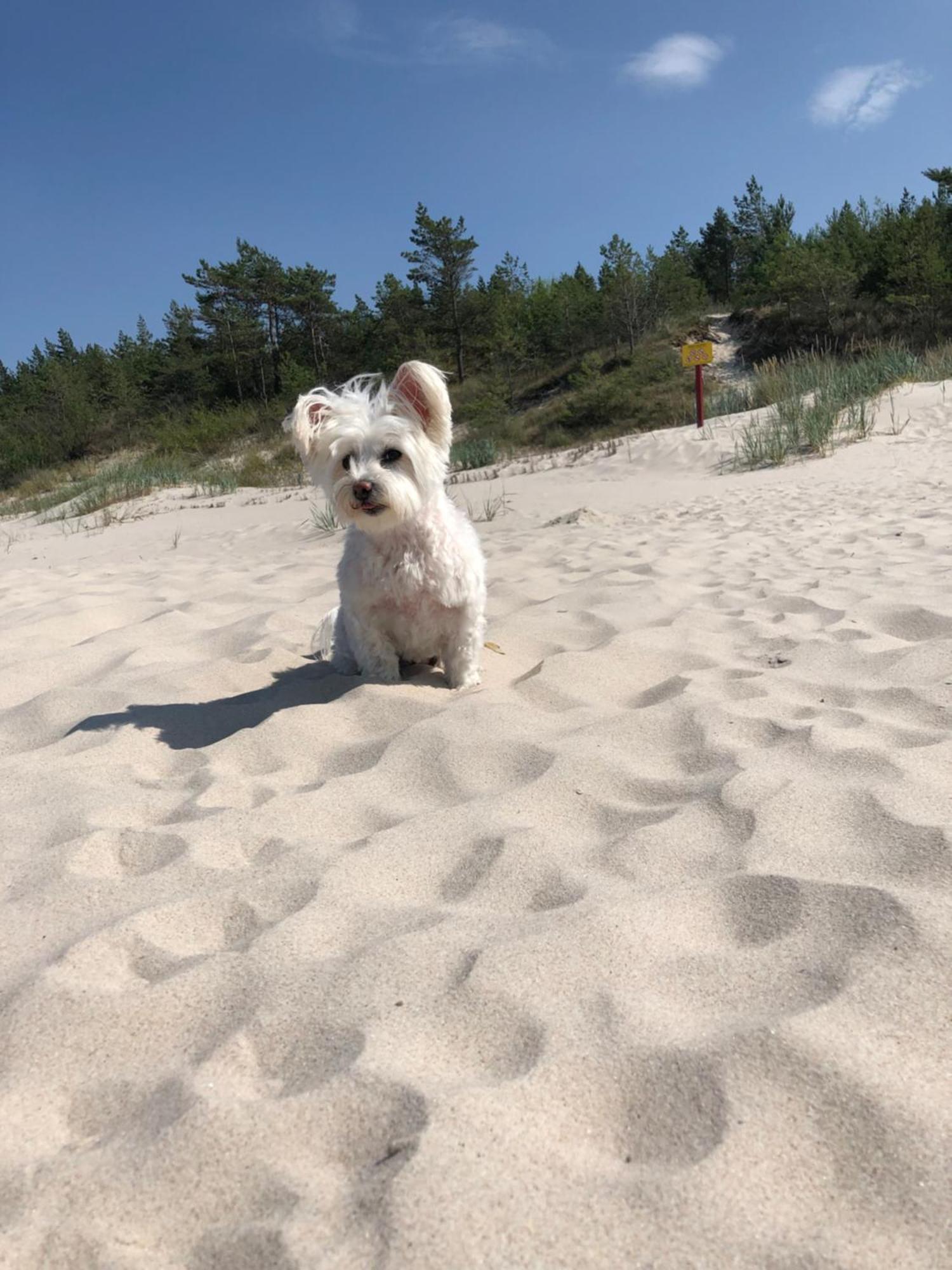 Baltic Holidays Gaski  Luaran gambar